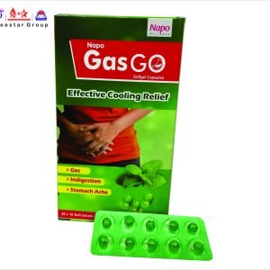 NAPO GAS GO SOFTGEL CAPSULE