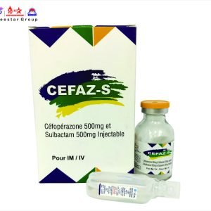 CEFAZ-S INJECTION