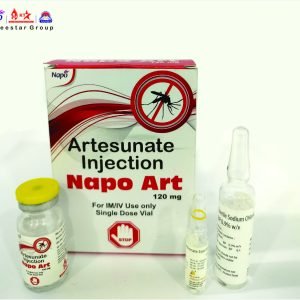 NAPO ART 120 MG INJECTION