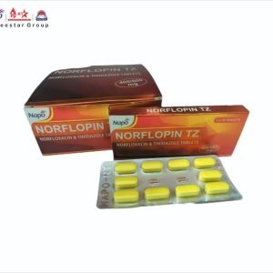 NORFLOPIN TZ TABLET