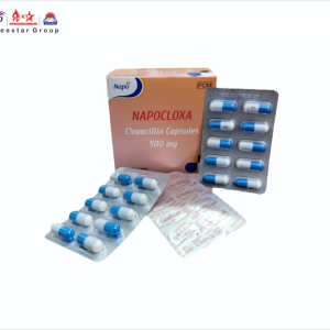 NAPOCLOXA 500 MG CAPSULES