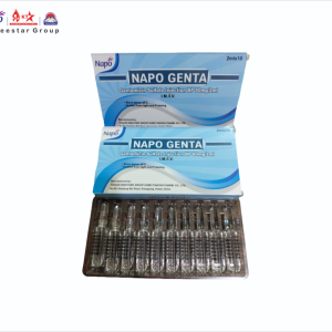 NAPO GENTA INJECTION