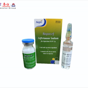 NAPOCEF INJECTION
