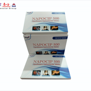NAPOCIP 500 MG